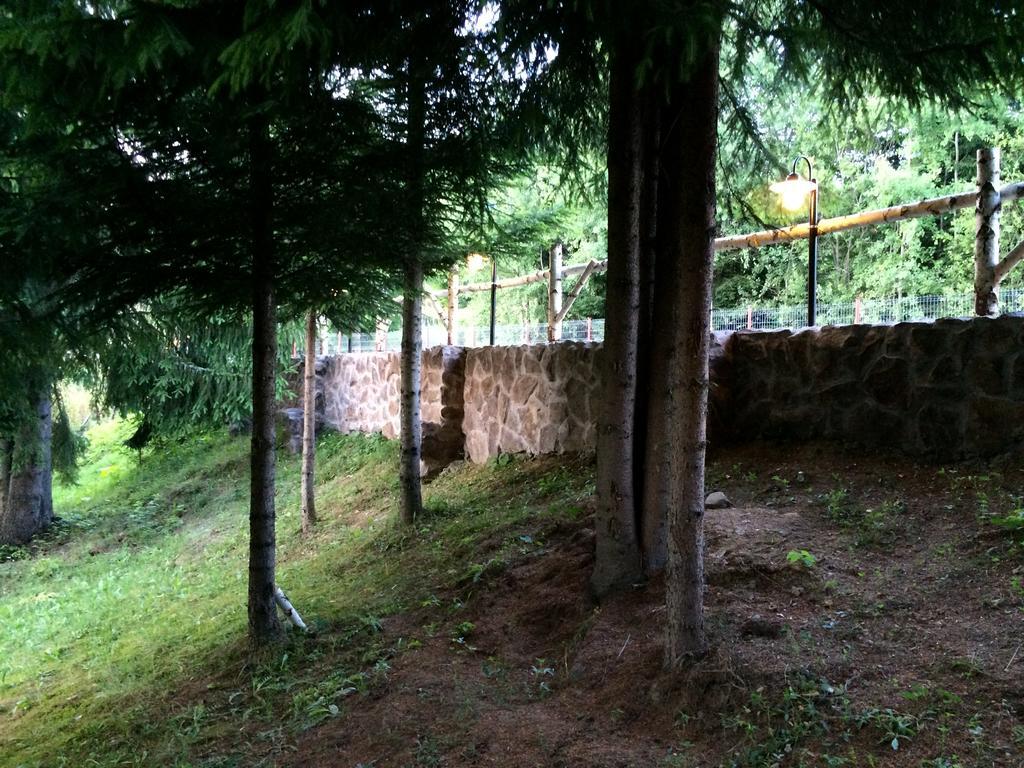 Casa Laur Cu Plaja Privata Hotel Colibiţa Buitenkant foto